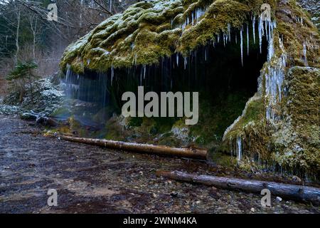 Wasserfall in der Wutachschlucht, Dietfurt Schleierfall, im Winter mit Eiszapfen, Schwarzwald, Baden-Württemberg, Deutschland Stockfoto