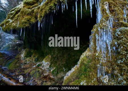 Wasserfall in der Wutachschlucht, Dietfurt Schleierfall, im Winter mit Eiszapfen, Schwarzwald, Baden-Württemberg, Deutschland Stockfoto