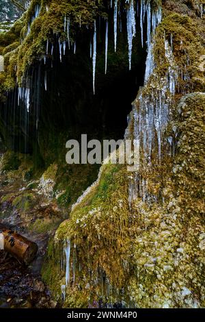 Wasserfall in der Wutachschlucht, Dietfurt Schleierfall, im Winter mit Eiszapfen, Schwarzwald, Baden-Württemberg, Deutschland Stockfoto