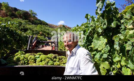 Ein lächelnder Winzer neben einer Ladung frisch geernteter Trauben in einem Wohnwagen, sizilianischer Wein, Sizilien, Italien Stockfoto