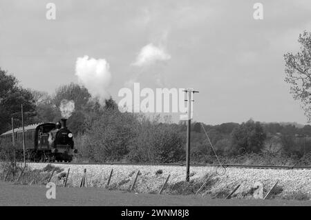 '30053' und Zug in der Nähe von Northiam. Stockfoto