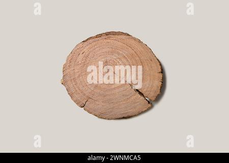 Holzschnitt eines Baumes auf grauem Hintergrund. Natürliche Holzstruktur. Stockfoto