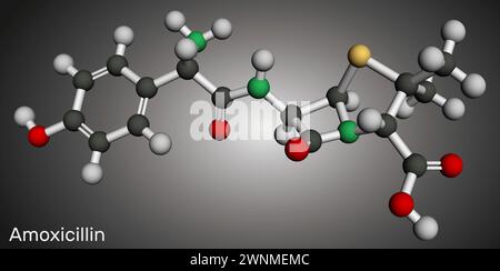 Amoxicillin-Arzneimittelmolekül. Es ist ein Beta-Lactam-Antibiotikum. Molekulares Modell. 3D-Rendering. Abbildung Stockfoto