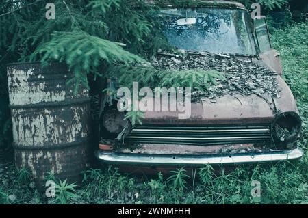 Ein verrosteter Truck sitzt auf einem Feld neben einem Baum auf einem verlassenen Autofriedhof in Schweden. Das Fahrzeug zeigt Anzeichen von Verfall und ist von Überschlag umgeben Stockfoto