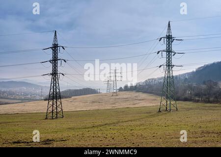 Alte Stromnetzübertragungstürme auf landwirtschaftlichen Flächen und Weiden in einem Nationalpark. Rostige Hochspannungs-Strommasten unter blauem Himmel auf dem Feld. Stockfoto