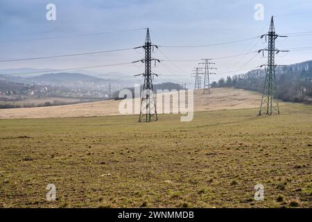 Alte Stromnetzübertragungstürme auf landwirtschaftlichen Flächen und Weiden in einem Nationalpark. Rostige Hochspannungs-Strommasten unter blauem Himmel auf dem Feld. Stockfoto