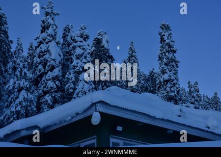 Gulmarg, Indien. März 2024. Der schwindende Gibbous Mond erhebt sich über den Hüttenbäumen in Gulmarg, etwa 55 km von Srinagar entfernt. Quelle: SOPA Images Limited/Alamy Live News Stockfoto