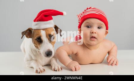 Süßer kleiner Junge und Jack Russell Terrierhund in santa-Hüten auf weißem Hintergrund. Stockfoto