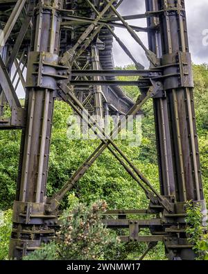 Blick auf das stillgelegte schmiedeeiserne LSWR-Eisenbahnviadukt (1874), von einer Straße aus gesehen. Meldon, Devon, England, Großbritannien. Stockfoto