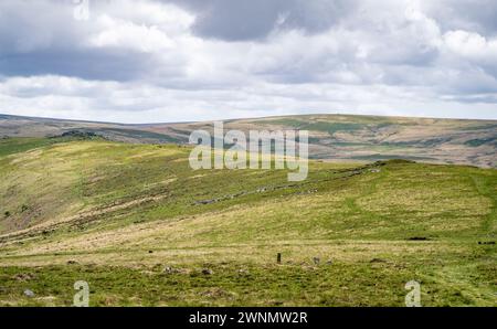 Blick nach Süden vom höheren Tor aus, auf den Weg entlang des Belstone Ridge, der zum Oke Tor führt. Dartmoor-Nationalpark, Devon, England, Großbritannien. Stockfoto