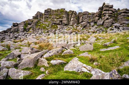 Der riesige Granitvorsprung des höheren Tors auf der Belstone Ridge weist ein ausgeprägtes Muster vertikaler und horizontaler Verbindungen auf. Dartmoor, Devon, Großbritannien. Stockfoto