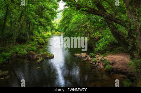 Der Fluss Teign fließt ruhig, gesehen von einer Fußgängerbrücke unterhalb von Hunter's Tor und Castle Drogo, Devon, England, Stockfoto