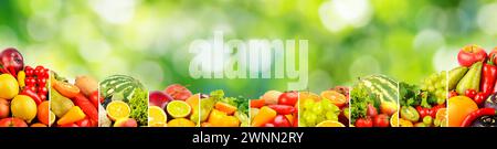 Breites Panorama Obst, Gemüse, Beeren für Ihr Layout auf grün unscharfen Hintergrund Stockfoto