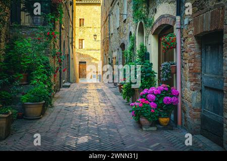 Atemberaubender Blick auf die enge gepflasterte Straße mit geordneten alten Steinhäusern, die mit bunten Blumen und grünen Pflanzen dekoriert sind, Toskana, Europa Stockfoto