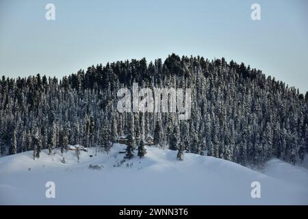 Gulmarg, Kaschmir, Indien. März 2024. In Gulmarg, einem weltberühmten Skigebiet, etwa 55 km von Srinagar entfernt, ist eine Hütte inmitten von schneebedeckten Bäumen an einem kalten Wintermorgen nach Schneesturm zu sehen. (Credit Image: © Saqib Majeed/SOPA Images via ZUMA Press Wire) NUR REDAKTIONELLE VERWENDUNG! Nicht für kommerzielle ZWECKE! Stockfoto