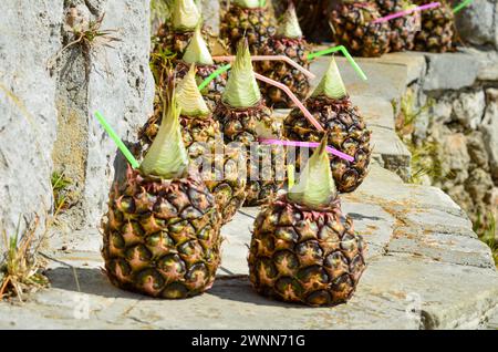 Mehrere Ananas mit verschiedenfarbigen Strohhalmen, die in einer Reihe auf einem Steinwall sitzen. Stockfoto