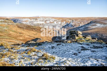 Blick auf das Tal des Flusses Tavy, 'Tavy Cleave', von Ger Tor, Dartmoor National Park, Devon, England, Großbritannien. Stockfoto