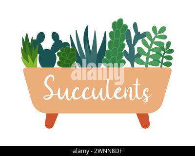 Die Zusammensetzung der Sukkulenten Pflanzen Stock Vektor