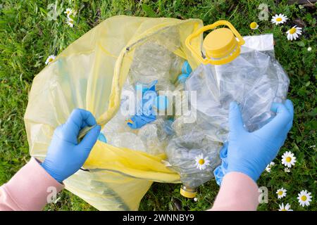 Frauenhände mit blauen Handschuhen sammeln Kunststoffe bei Sonnenuntergang in einem Wald mit Gänseblümchen. Konzept Recycling, Natur, Freiwilligentätigkeit Stockfoto