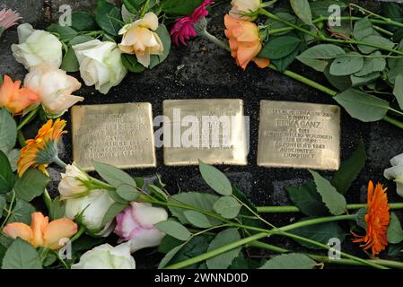 Stolpersteinverlegung für Familie ganz Aachen, 01.03.2024: Stolpersteinverlegung an der Eupenerstr. 249. Charles Antosiewicz im Bild war mit seiner Schweizer Familie angereist. Sein Großvater Otto ganz 1879-1944, seine Tante Erika ganz 1911-1943 und seine Urgroßmutter Regine Grüneberg 1858-1942 hatten hier gelebt. Sie wurden deportiert und ermordet. Innerhalb der Aktion Stolpersteine des Künstlers Gunter Demnig wurden vom Gedenkbuch-Projekt für die Opfer der Shoah aus Aachen e.V. drei Stolpersteine in Anwesenheit der Oberbürgermeisterin Sibylle Keupen verlegt. Aachen Eupenerstraße NRW Deutschl Stockfoto