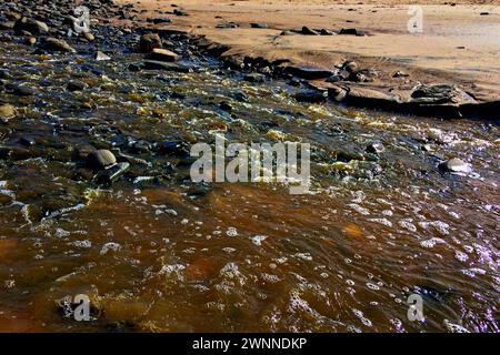 Wasser fließt zwischen Steinen auf einer felsigen Oberfläche, reflektiert das Licht und erzeugt eine dynamische Szene. Stockfoto