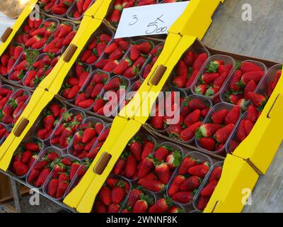 Plastikkörbe mit Reifen Erdbeeren, die im Frühjahr auf dem Bauernmarkt verkauft werden, mit Preisschild Stockfoto
