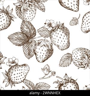 Skizze des Erdbeermusters. Beeren, Blumen, Zweige und Blätter auf weißem Hintergrund. Vektor Stock Vektor