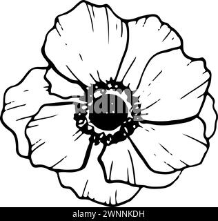 Anemone Blume Illustration. Wildblumenmohn Stock Vektor