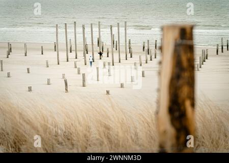 Vogelansicht der Landschaftskunst 'Palendorp' in Petten am Strand an der Küste der Niederlande Stockfoto