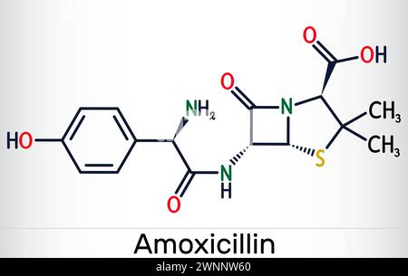 Amoxicillin-Arzneimittelmolekül. Es ist ein Beta-Lactam-Antibiotikum. Die chemische Formel des Skeletts. Vektorabbildung Stock Vektor