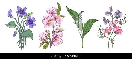 Set wunderschöner romantischer Frühlingsblumen isoliert. Stock Vektor