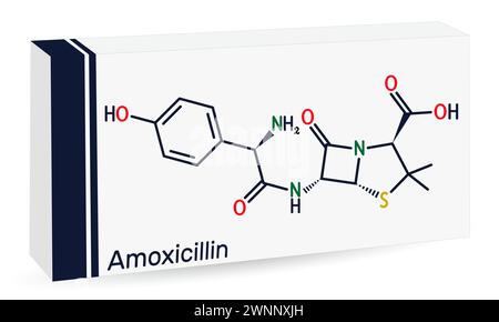 Amoxicillin-Arzneimittelmolekül. Es ist ein Beta-Lactam-Antibiotikum. Die chemische Formel des Skeletts. Papierverpackungen für Medikamente. Vektorabbildung Stock Vektor