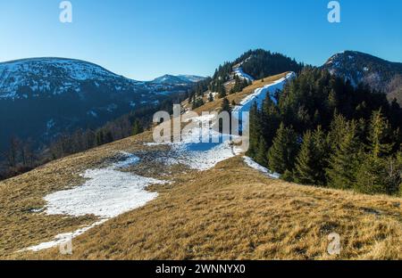 Winterlicher Blick von den Bergen Velka Fatra, Slowakei Stockfoto