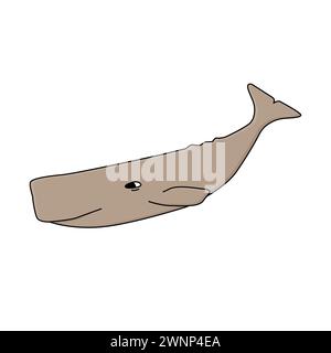 Pottwal Hand gezeichnete Vektorillustration. Ein Wassertier der Antarktis isoliert auf weißem Hintergrund Stock Vektor