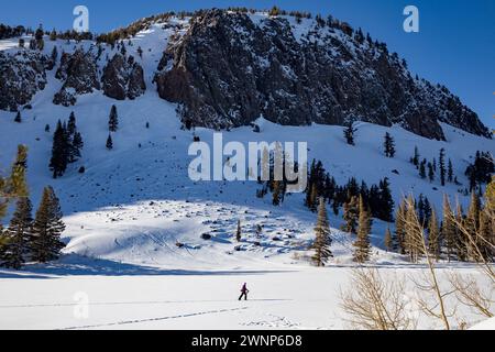 Die meisten Schnee in der Geschichte fiel auf Mammoth Lakes in der östlichen Sierra im Februar, 2019. Nach oben von 20 Fuß fiel auf Mammoth Mountain und bedeckt die Stockfoto