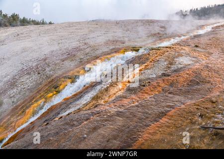 Abflusswasser aus Geysiren und Quellen fließt in den Firehole River im Midway Geyeser Basin Area des Yellowstone National Park Stockfoto