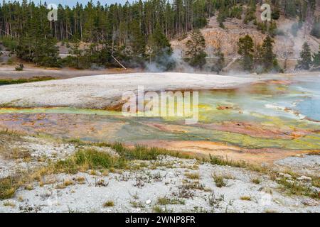 Das ablaufende Wasser des Excelsior Geyser Crater hinterlässt farbenfrohe Mineralablagerungen, während es in Richtung Firehole River im Midway Geyeser Becken fließt Stockfoto