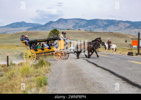 Die Späher auf dem Pferd blockieren den Verkehr, damit Pferdekutschen die Grand Loop Road im Yellowstone National Park, Wyoming, überqueren können Stockfoto