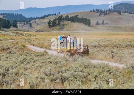 Touristen, die mit Pferdekutschen auf der Salbei-bedeckten Wiese des Pleasant Valley im Yellowstone-Nationalpark, Wyoming, reiten Stockfoto