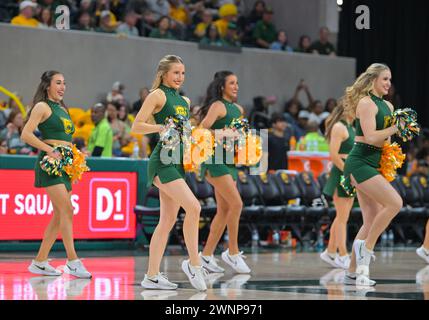 Waco, Texas, USA. März 2024. Baylor Lady Bears Cheerleader während der 2. Hälfte des NCAA Basketballspiels zwischen den Oklahoma State Cowgirls und Baylor Lady Bears im Foster Pavilion in Waco, Texas. Matthew Lynch/CSM/Alamy Live News Stockfoto