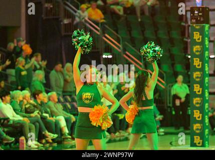 Waco, Texas, USA. März 2024. Baylor Lady Bears Cheerleader vor dem NCAA Basketballspiel zwischen den Oklahoma State Cowgirls und Baylor Lady Bears im Foster Pavilion in Waco, Texas. Matthew Lynch/CSM/Alamy Live News Stockfoto