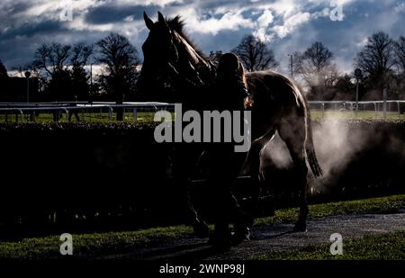 Flash Collonges ist unsattelt, nachdem er am 24. 02.03.24, in der Grimthorpe Handicap Chase, Doncaster Racecourse, hochgezogen wurde. Credit JTW equine Images / Alamy. Stockfoto