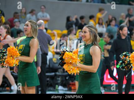 Waco, Texas, USA. März 2024. Baylor Lady Bears Cheerleader nach dem NCAA Basketballspiel zwischen den Oklahoma State Cowgirls und Baylor Lady Bears im Foster Pavilion in Waco, Texas. Matthew Lynch/CSM/Alamy Live News Stockfoto