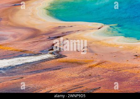Nahaufnahme des äußeren Umfangs der Grand Prismatic Spring im Midway Geyser Basin des Yellowstone National Park, Wyoming Stockfoto