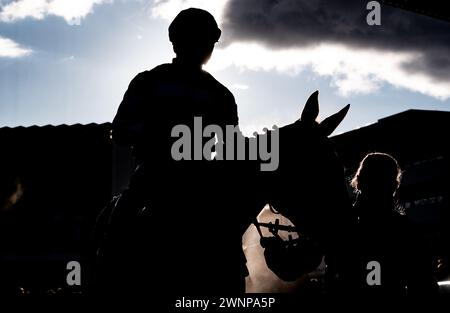 Sunday Soldier kehrt zum Siegergehäuse zurück, nachdem er am 02.03.2024 auf der Doncaster Racecourse gewonnen hat. Credit JTW equine Images / Alamy. Stockfoto