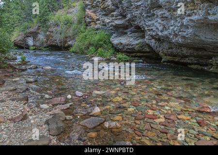 Kristallklares Wasser des Rattlesnake Creek schlängelt sich durch den Lolo National Forest in Missoula, Montana Stockfoto