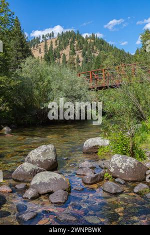 Die Fußgängerbrücke überquert den Rattlesnake Creek im Lolo National Forest in Missoula, Montana Stockfoto