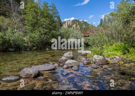 Die Fußgängerbrücke überquert den Rattlesnake Creek im Lolo National Forest in Missoula, Montana Stockfoto