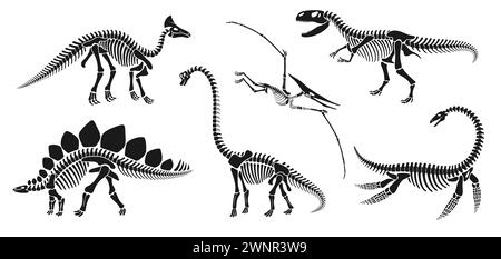 Isoliertes Dinosaurier-Skelett-Fossil, Dino-Knochen. Vektor-Reptilientier-Silhouetten. brachiosaurus, Stegosaurus, olorotitan, Tyrannosaur oder trex, Elasmosaurus und Pterodactyl alte Reptilienreste Stock Vektor