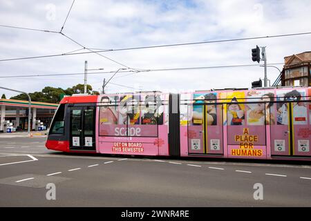 Sydney CBD Stadtbahn auf der Anzac Parade in Kensington östlichen Vororten, führt Scape Werbung für Studentenwohnheime in Sydney, NSW, Australien Stockfoto